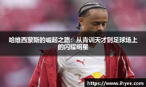 raybet雷竞技平台